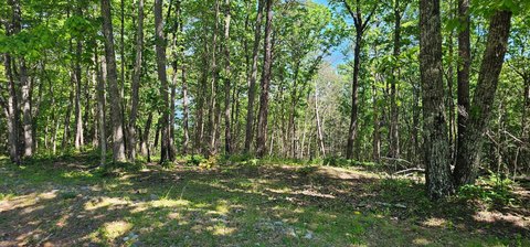 Land in Fredonia Mountain Resort