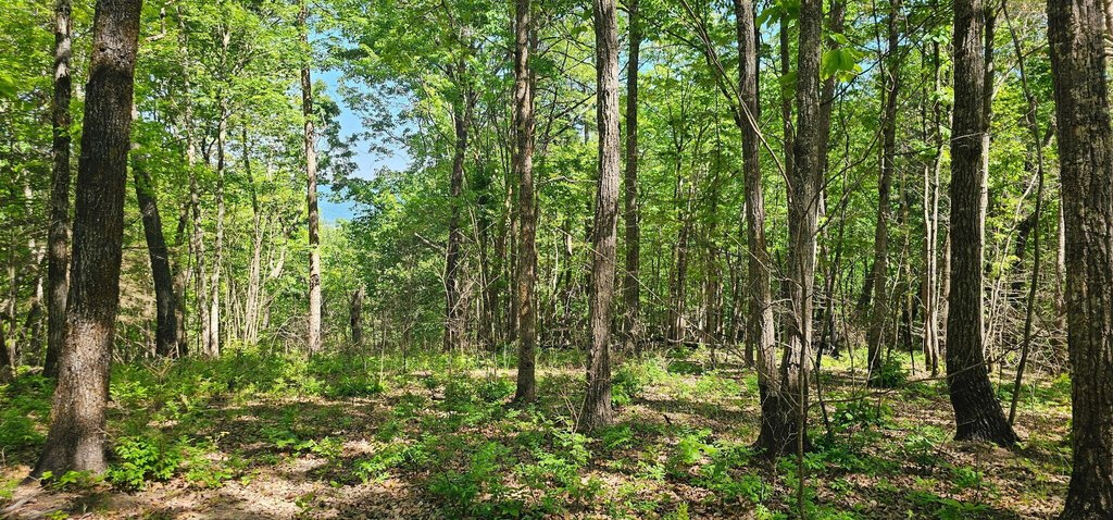 Picture 8