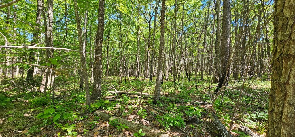 Picture 12