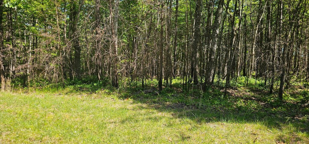 Picture 13