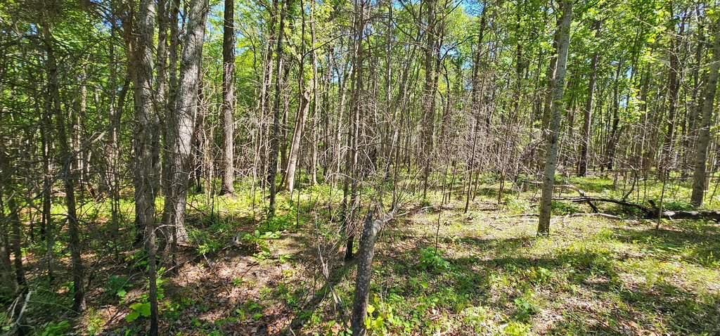 Picture 7
