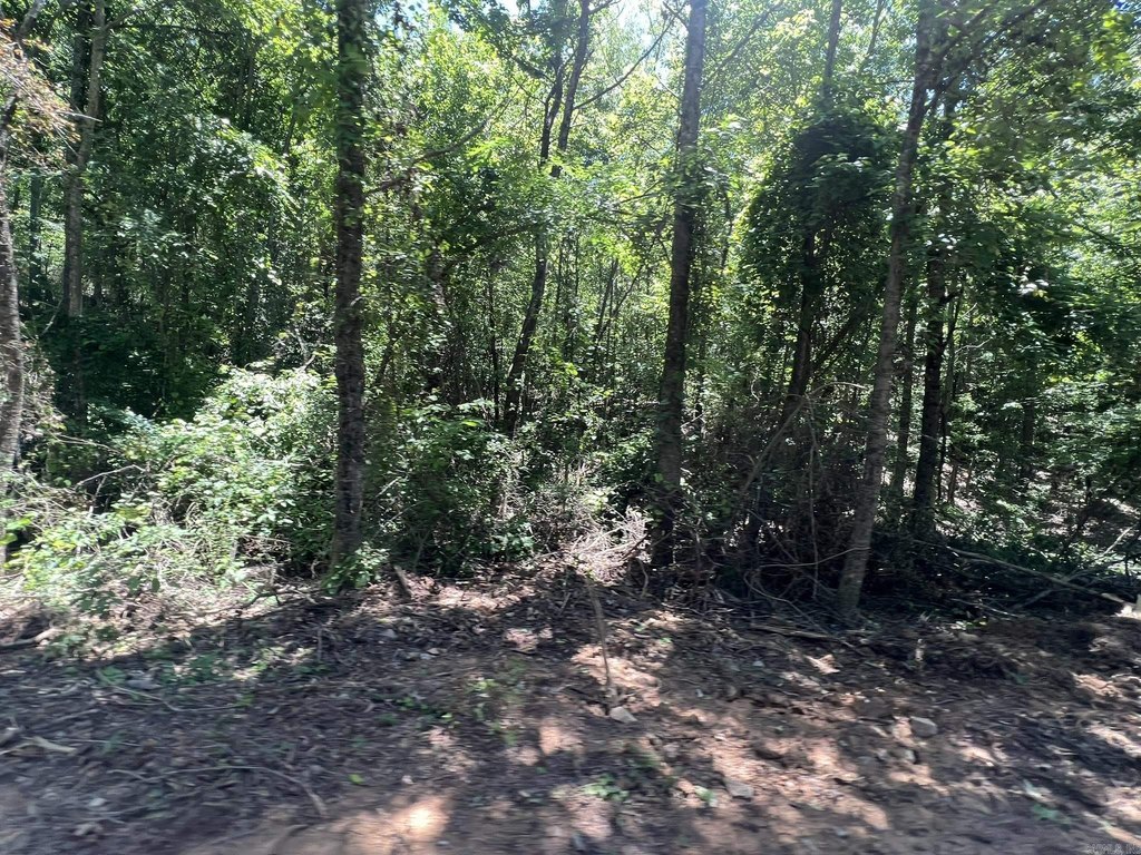 Picture 24