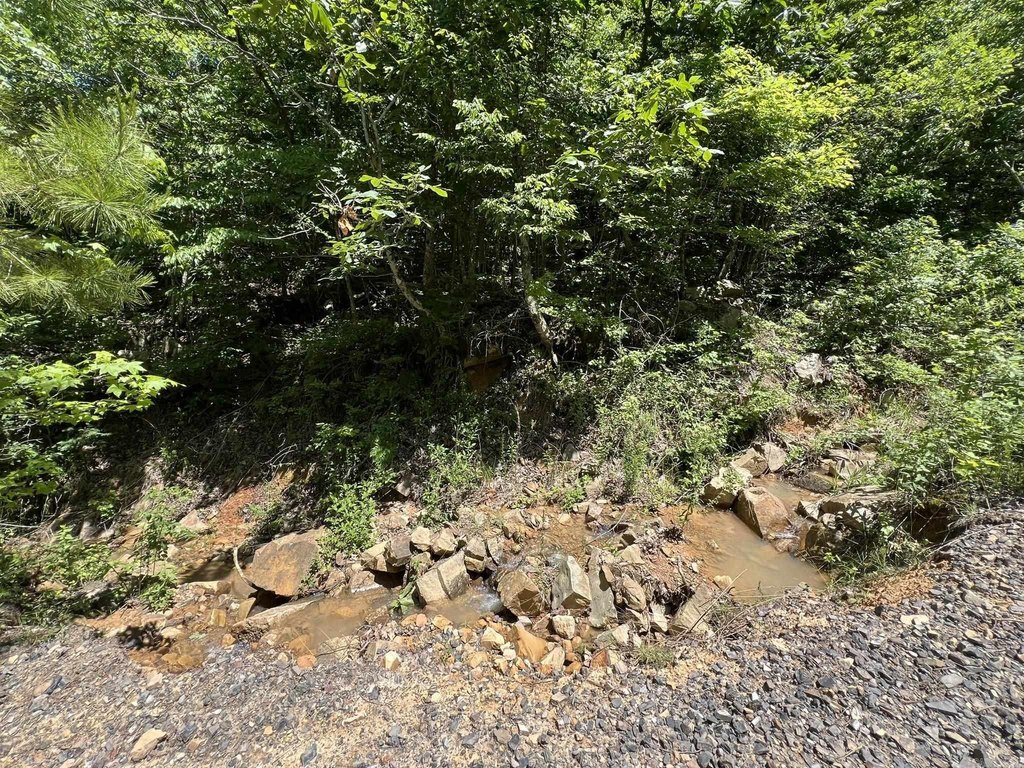 Picture 42