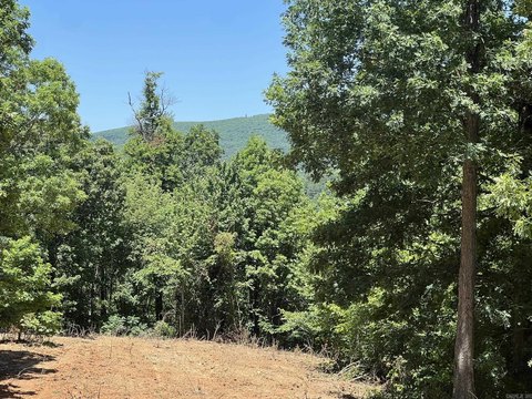 Mena, AR Hunting Land