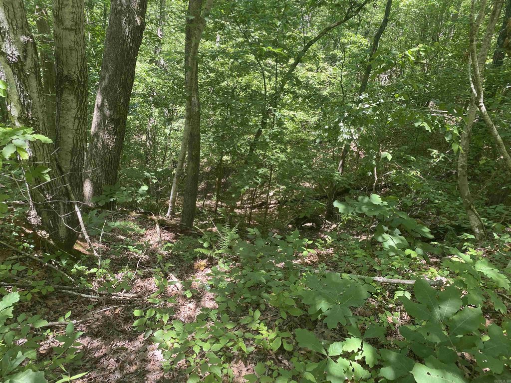 Picture 41