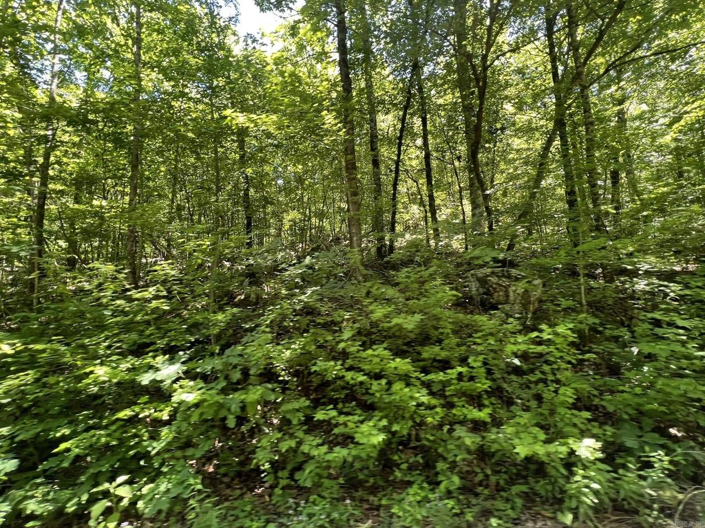 Picture 28