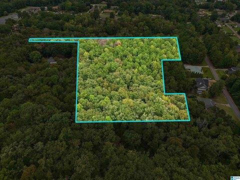 LAND/LOTS, CHILDERSBURG, AL