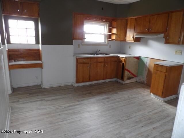 Picture 8