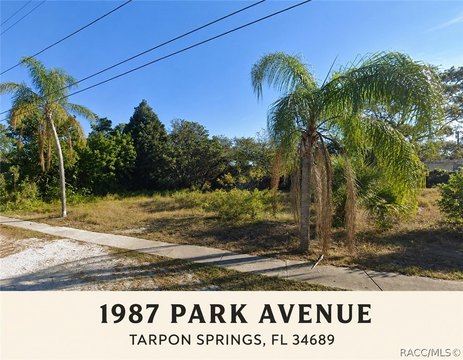 Land, Tarpon Springs, FL
