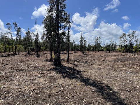 Land, Keaau, HI