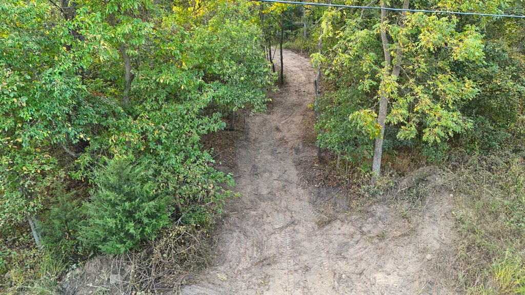 Picture 3