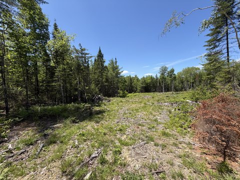 LAND - Orono, ME