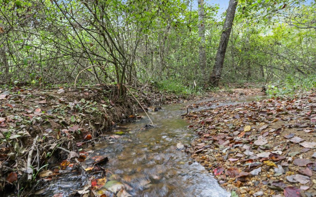 Picture 27