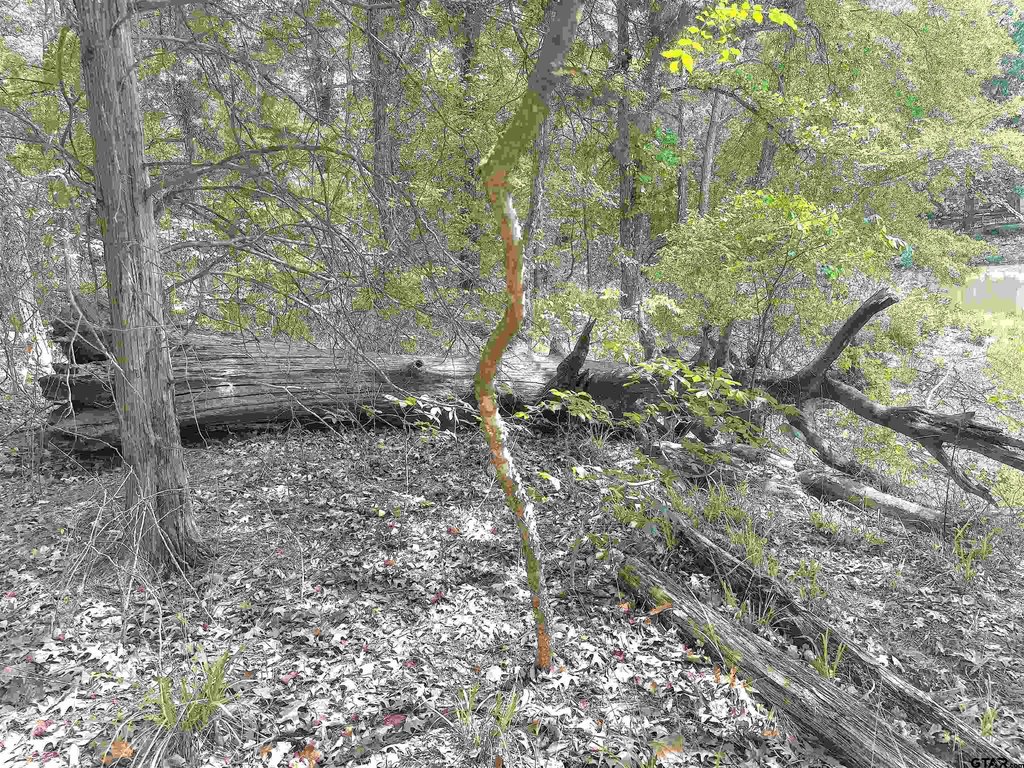 Picture 3