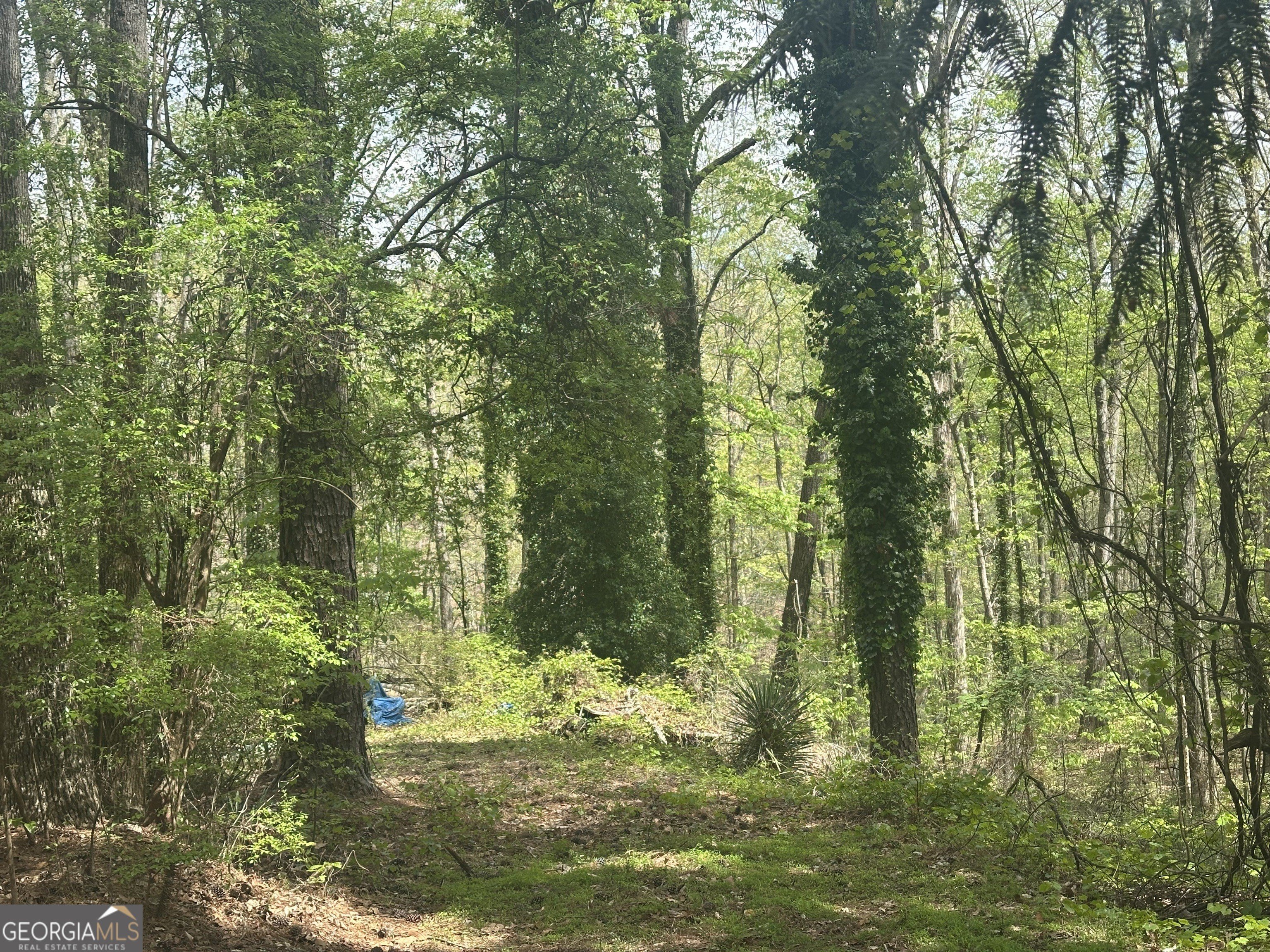 12.73 Acres in Douglasville, GA