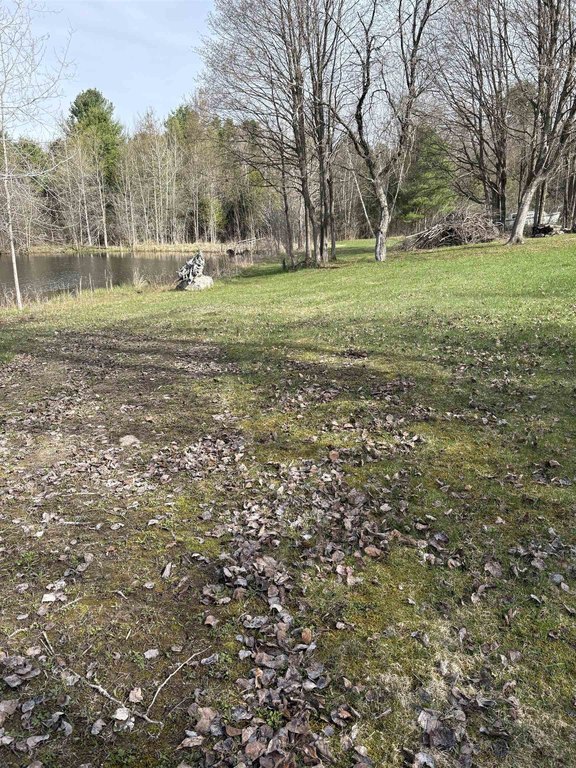 Picture 12