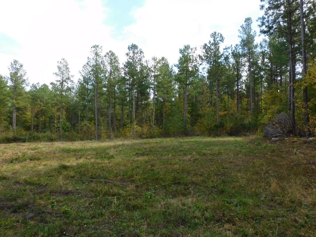 Picture 11