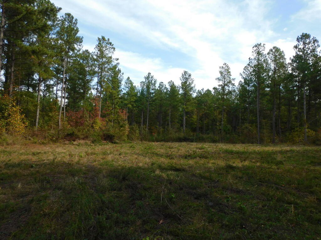 Picture 10