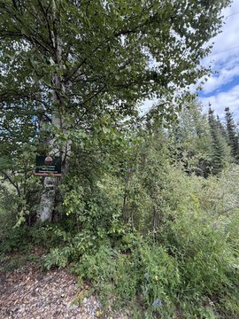 LAND - North Pole, AK