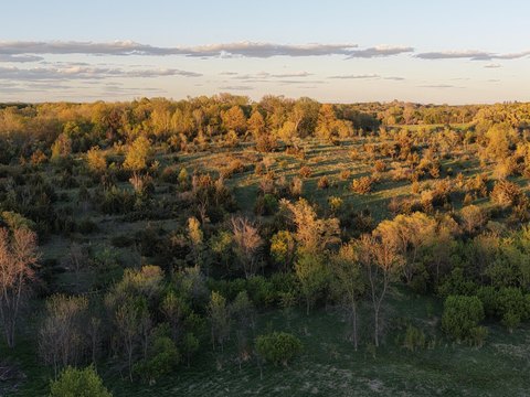 LAND - Prior Lake, MN