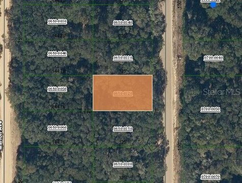 Interlachen Land with Great Potential