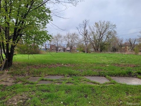 Detroit Land Bundle Opportunity