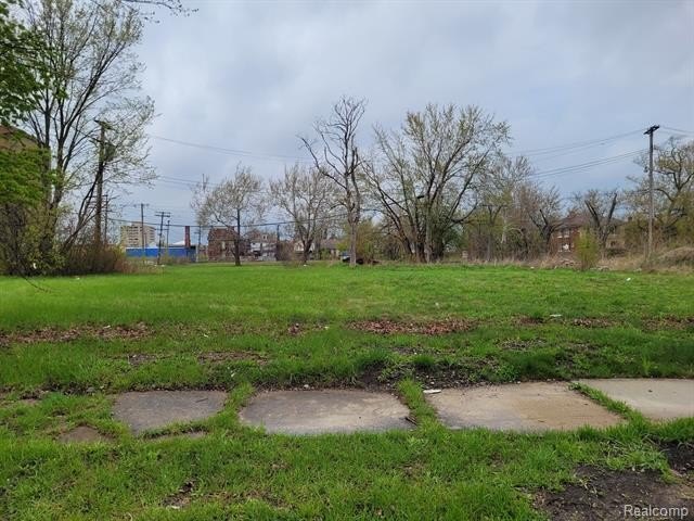 Picture 2