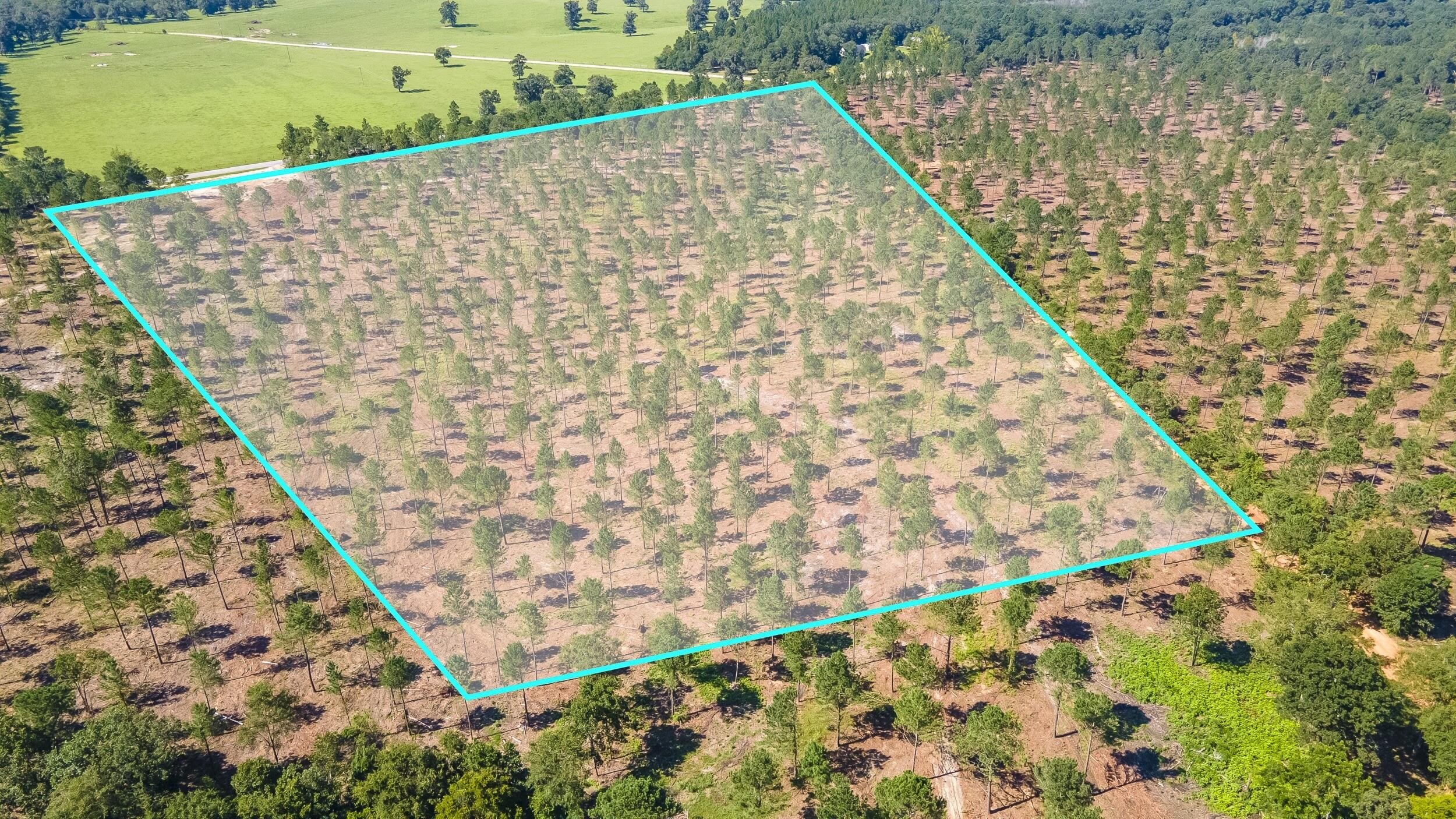 Aiken County Land Parcel