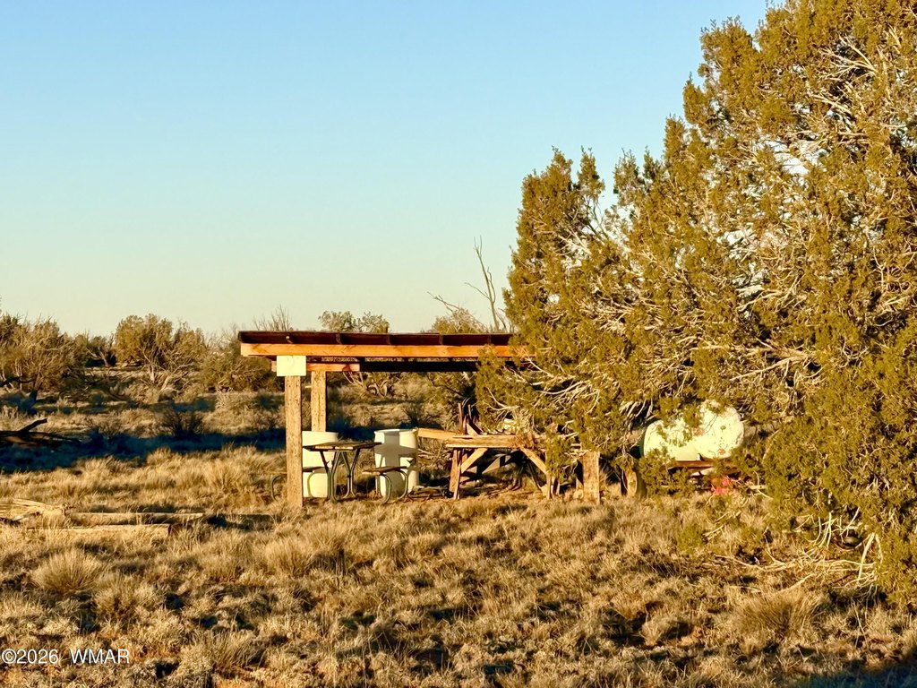 Picture 4