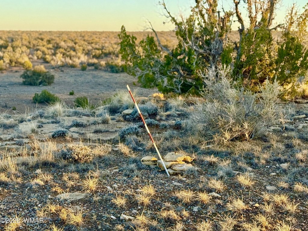 Picture 18