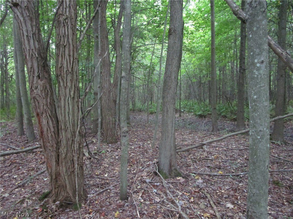Picture 16