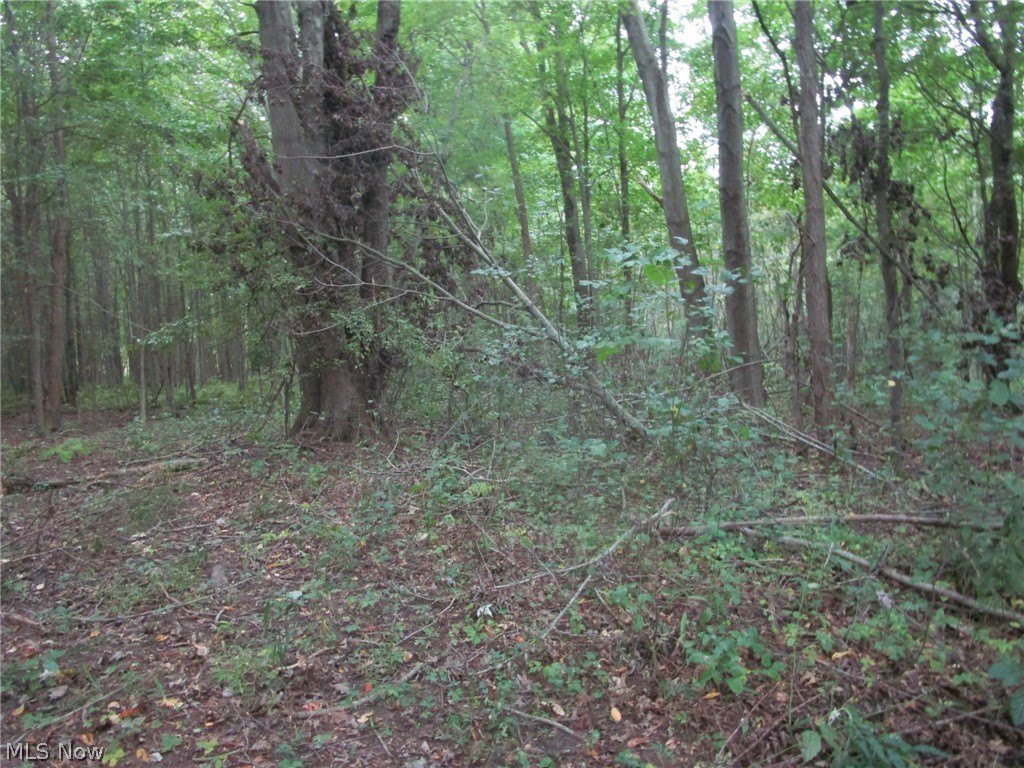 Picture 7