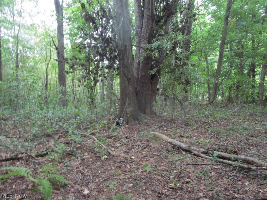 Picture 14