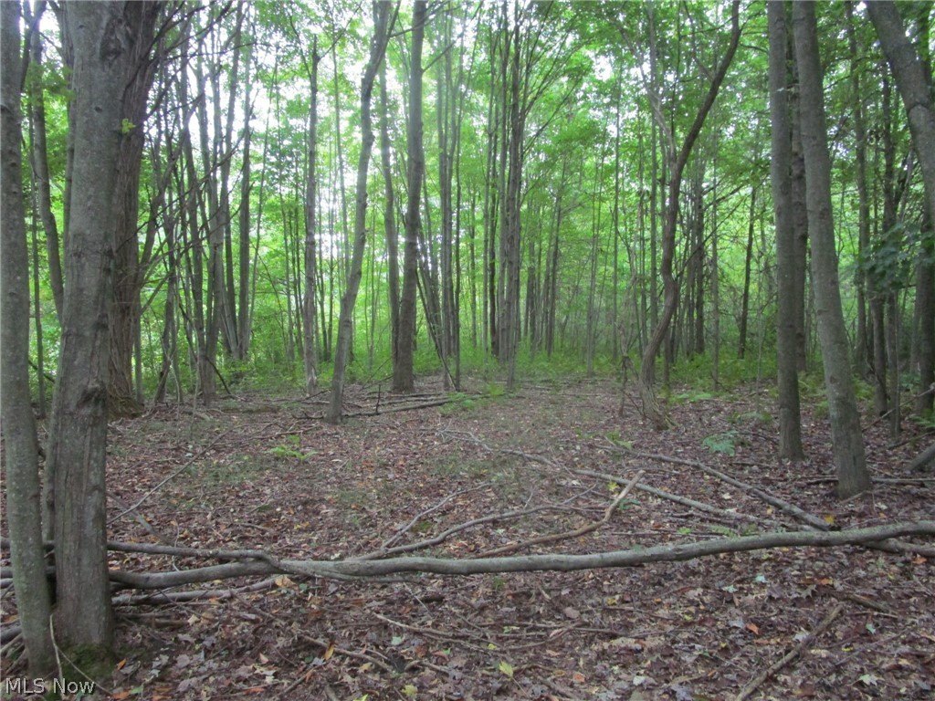 Picture 2