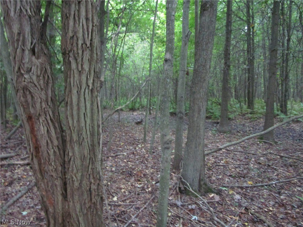 Picture 5