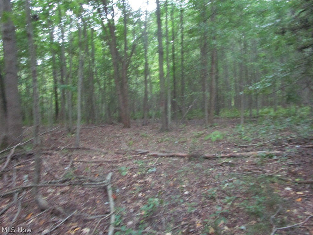 Picture 17