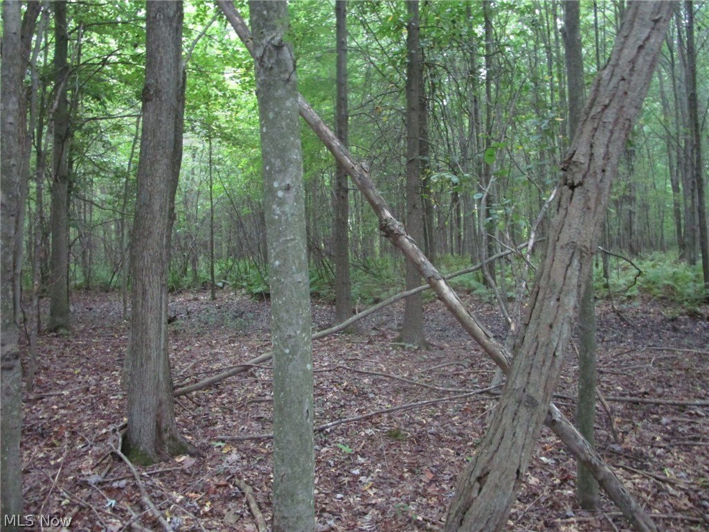 Picture 9