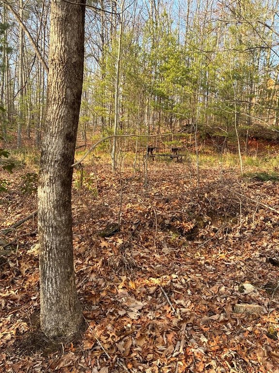 Picture 8