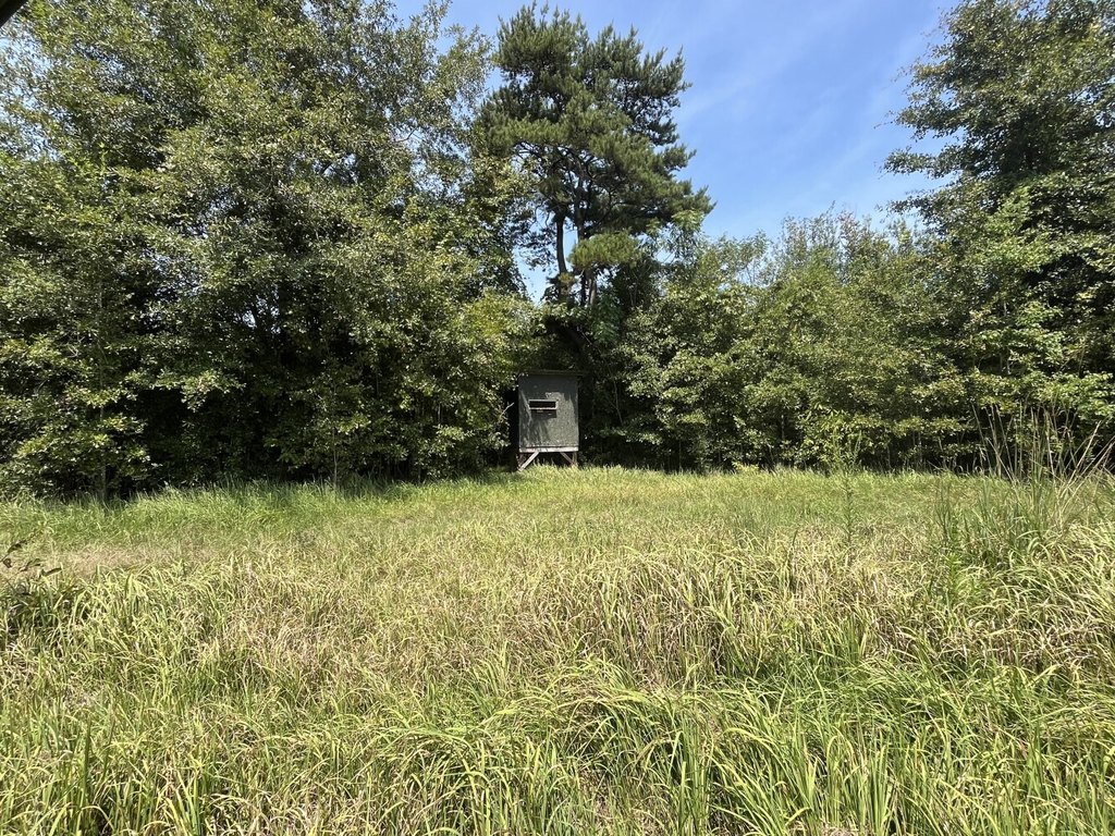 Picture 21