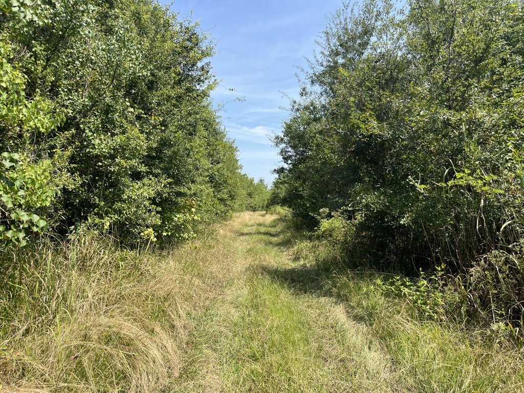 Picture 20