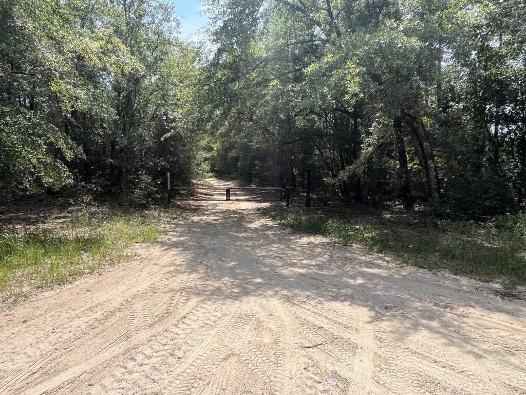 Picture 28