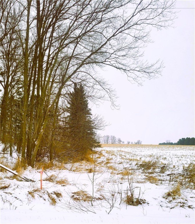 2.56 Acre Countryside Lot