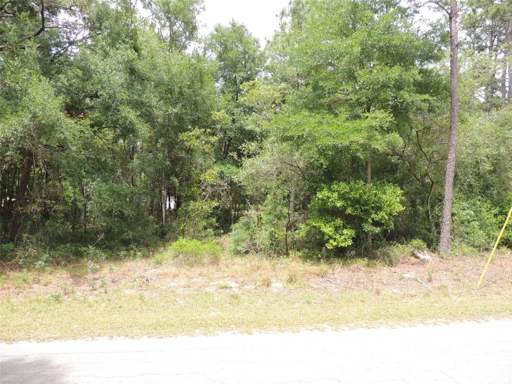 Picture 6