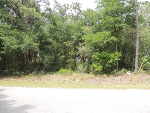 Agricultural Residential Building Lot