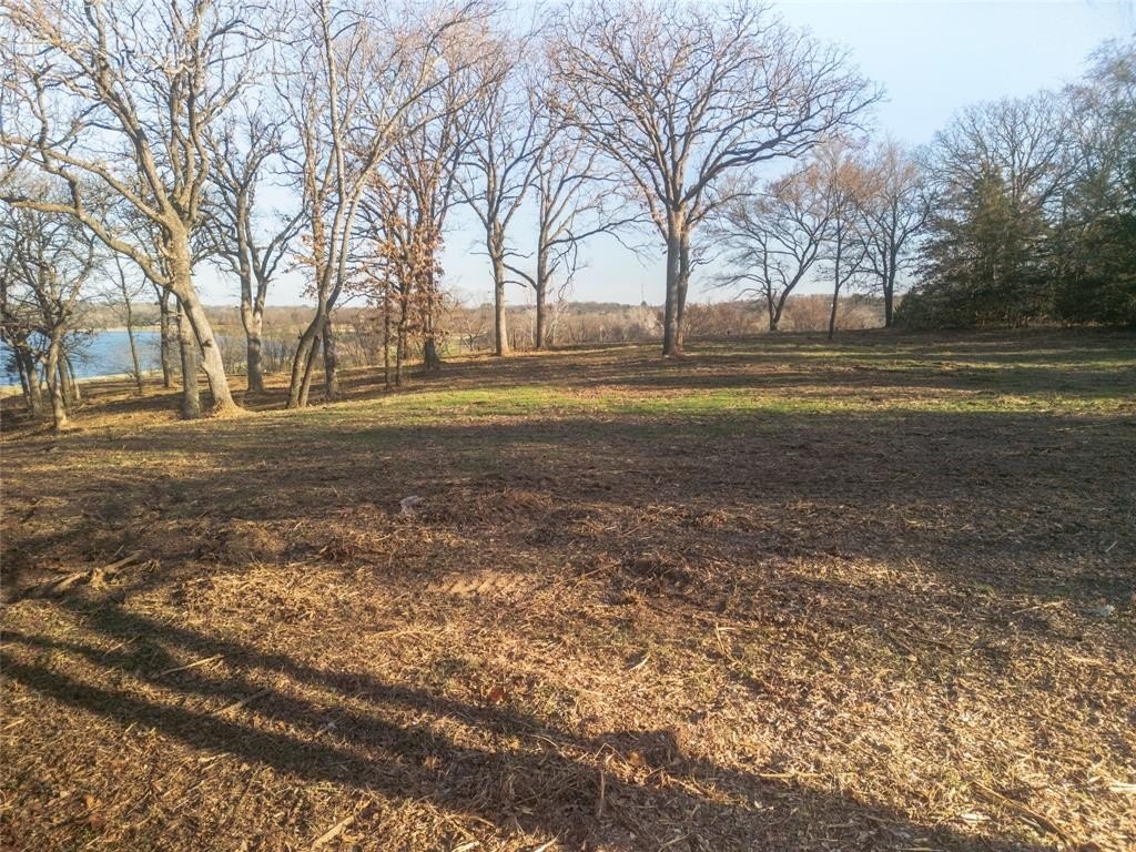 Picture 20