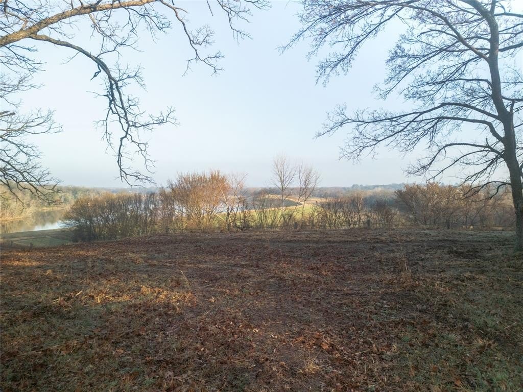 Picture 2