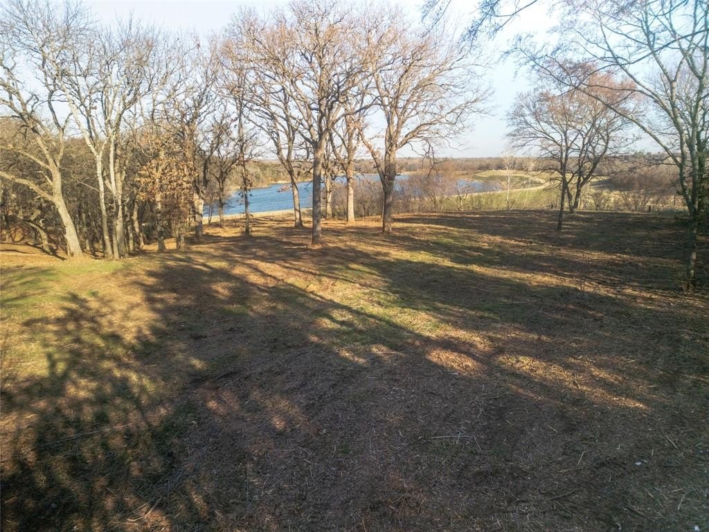 Picture 23
