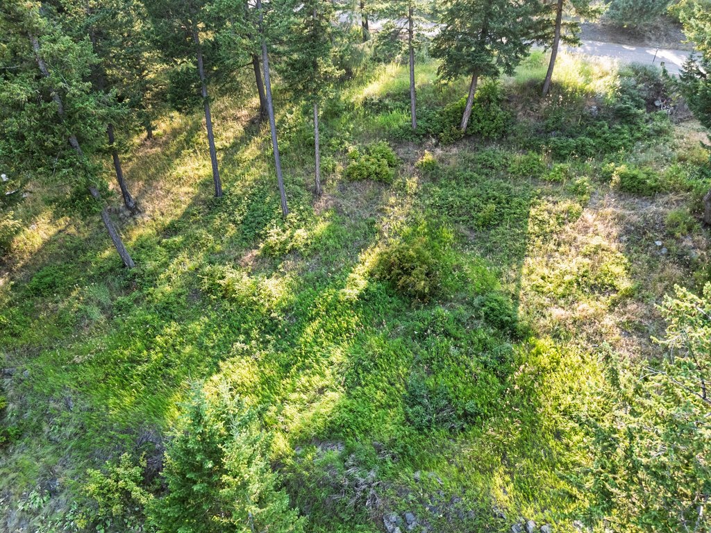 Picture 15