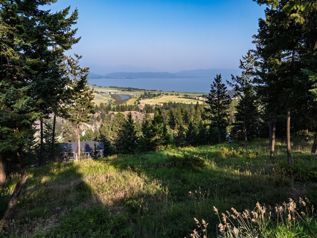 Picture 20