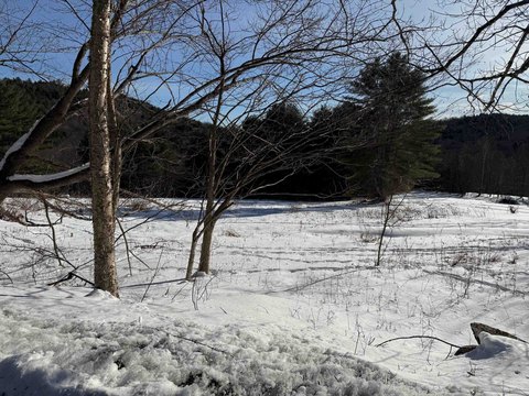Recreation Land Tract on Brook